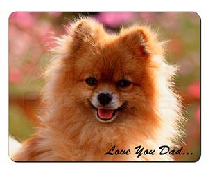 Pomeranian Dog 