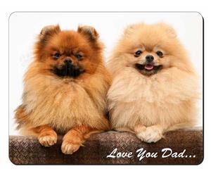 Pomeranian Dogs 