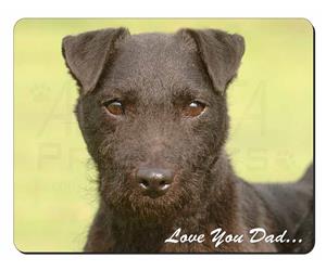 Patterdale Terrier Dog 