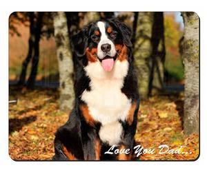 Bernese Mountain Dog 