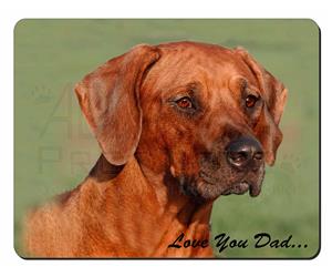 Rhodesian Ridgeback 