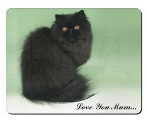 Black Persian Cat 