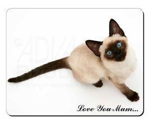 Siamese Cat 