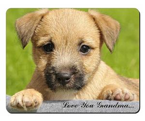 Click Image to See All 38 Different Products Available with this Terrier