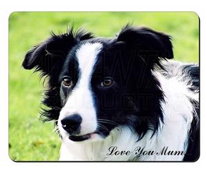 Border Collie Dog 