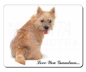 Click Image to See All 38 Different Products Available with this Terrier