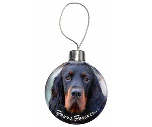 Gordon Setter 