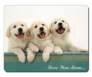 Golden Retrievers 