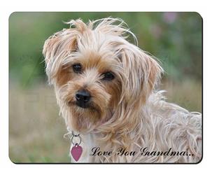 Click Image to See All 38 Different Products Available with this Yorkie