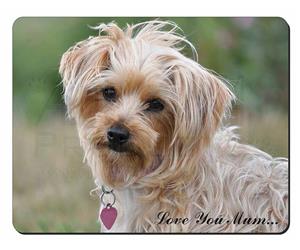 Yorkshire Terrier Dog 