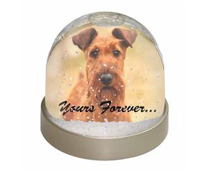 Irish Terrier Dog 