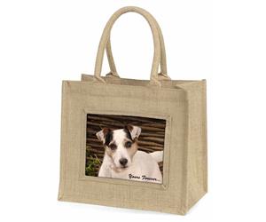 Jack Russell Terrier 