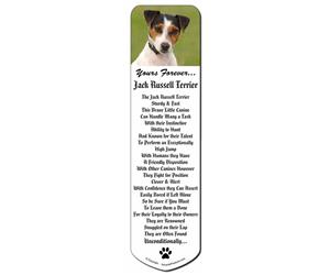 Jack Russell 