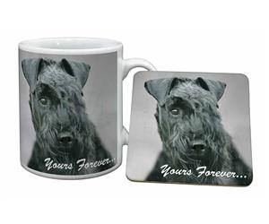 Kerry Blue Terrier 