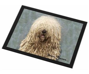 Cute Komondor Dog 