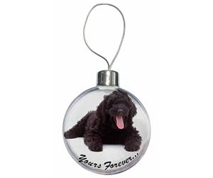 Black Labradoodle 