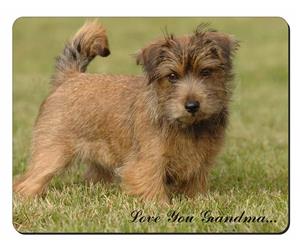 Click Image to See All 38 Different Products Available with this Terrier