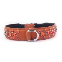 Orange Nubuck Leather Jewelled Dog Collar Neck Size: 10"-13"