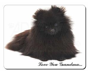 Black Pomeranian 