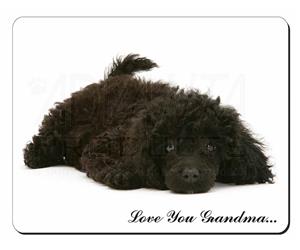 Click Image to See All 38 Different Products Available with this Miniature Poodle