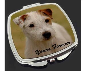 Parson Russell Terrier 