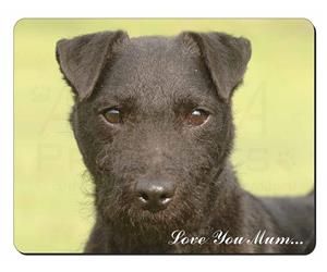 Patterdale Terrier 