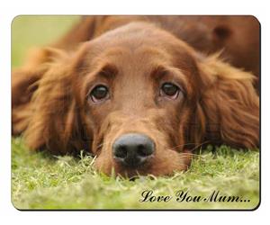 Red Setter Dog 