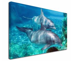 Click image to see all products with these underwater Dolphins.