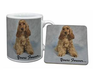 Apricot Cocker Spaniel 