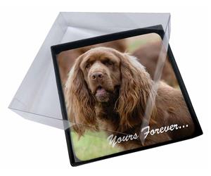 Sussex Spaniel 