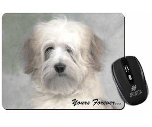 Tibetan Terrier 