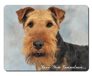 Click Image to See All 38 Different Products Available with this Terrier
