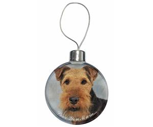 Welsh Terrier Dog 