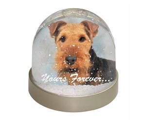 Welsh Terrier 