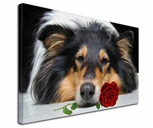Click Image to See the Different Rough Collie Dogs & All Different Products Available