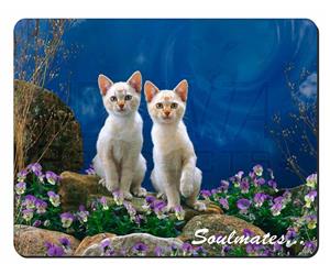 White Cats Soulmates Sentiment