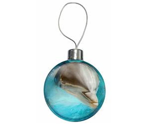 Click image to see all products with this Dolphin.