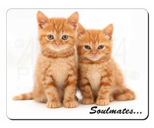 Ginger Kittens Soulmates Sentiment