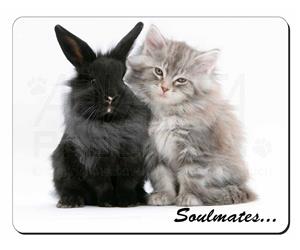 Rabbit and Kitten 