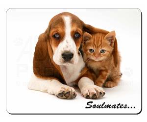 Basset Hound and Kitten 