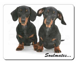 Dachshund Dogs 