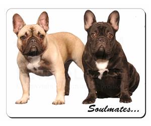 French Bulldogs 