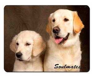 Golden Retrievers 