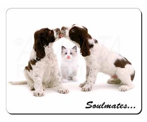 Dogs and Cat Love Sentiment 