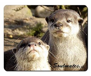 Cute Otters 