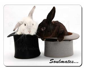 Rabbits in Top Hats 