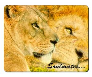 Two Lions in Love 