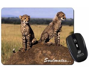 Two Cheetahs 