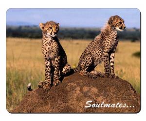 Two Cheetahs 