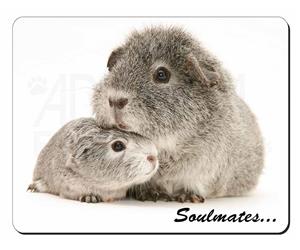 Silver Guinea Pigs 